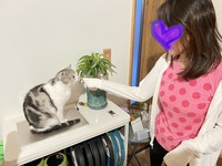 san13.jpgのサムネイル画像